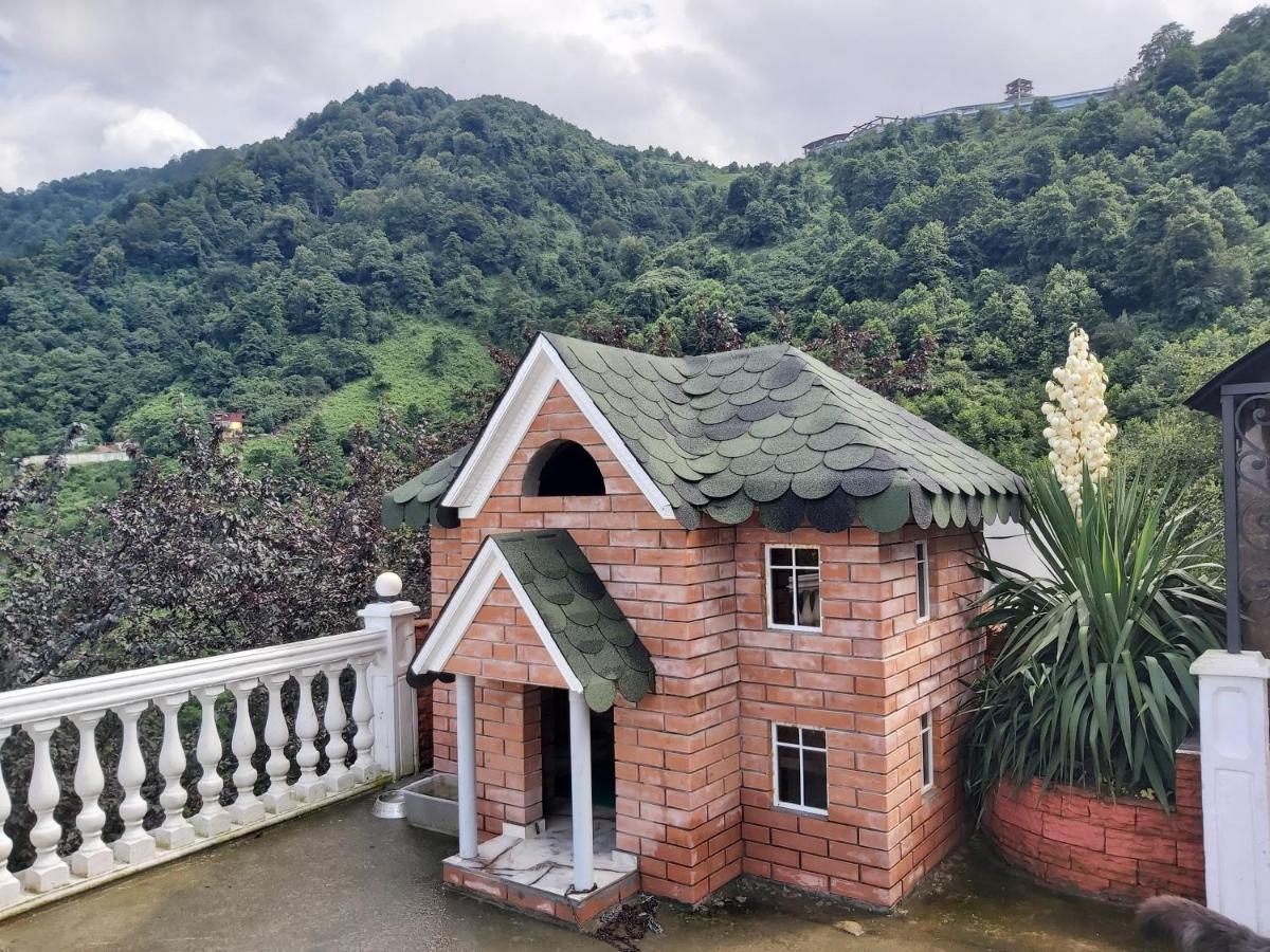 Hotel Zura Palace ควาเรียที ภายนอก รูปภาพ